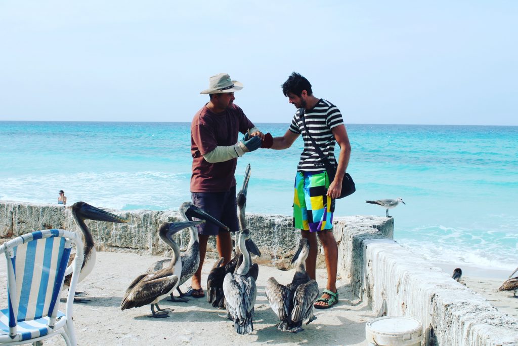 În Varadero, Răzvan se joacă cu pelicanii