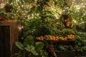 Deși este un oraș al tăcerii, nu lipsesc din Mdina terasele sau restaurantele