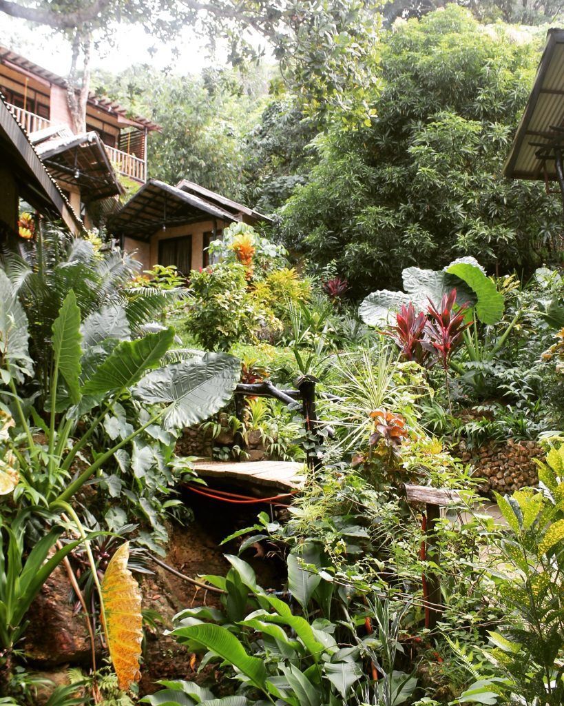 Curtea de la Novie's Tourist Inn, El Nido