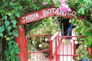 Grădina botanică, intrarea
