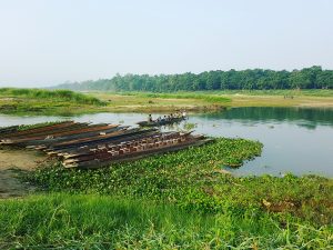 Chitwan National Park