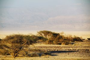 Deșertul Negev