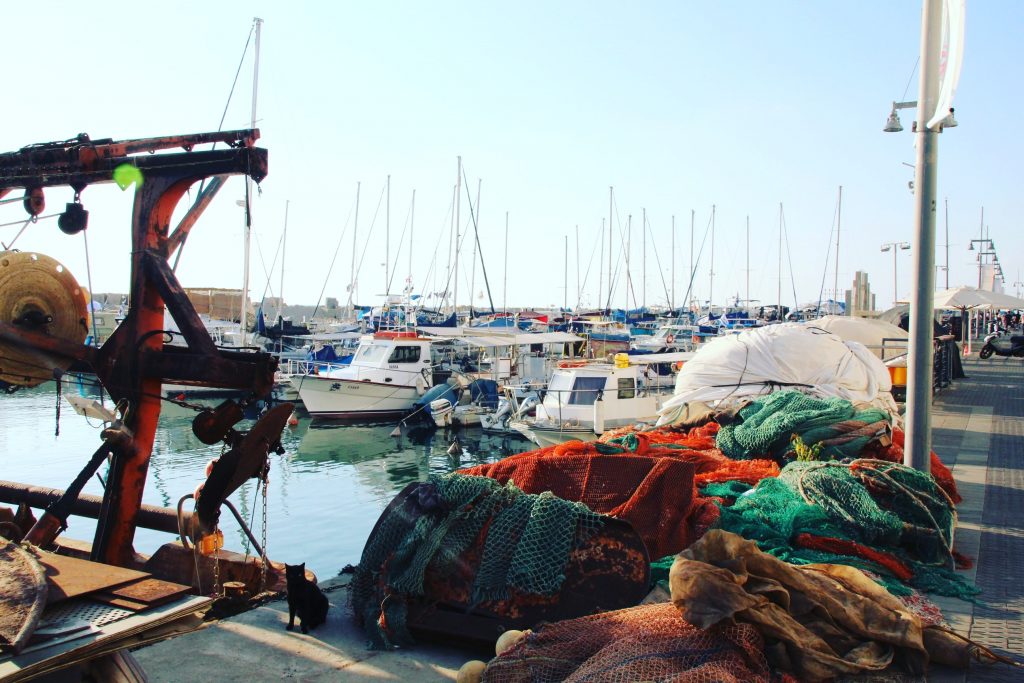 Harababură în Old Jaffa