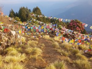 Poon Hill Steagurile tibetane sunt inscripționate cu mantre și aduc noroc. Când vântul bate, țesătura se destramă și rugile se împrăștie în lume.