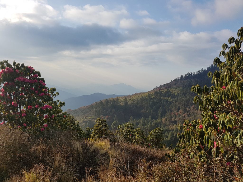 Traseul spre Poon Hill