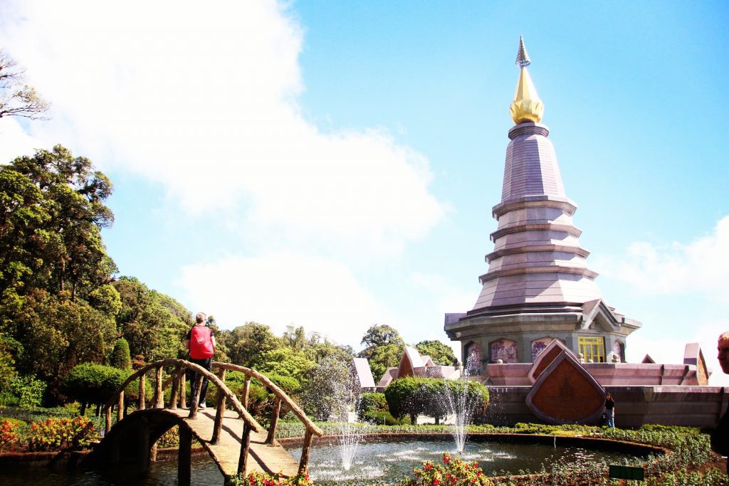 Pagoda reginei, Doi Inthanon
