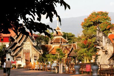 Wat Chedi Luang, dis de dimineață