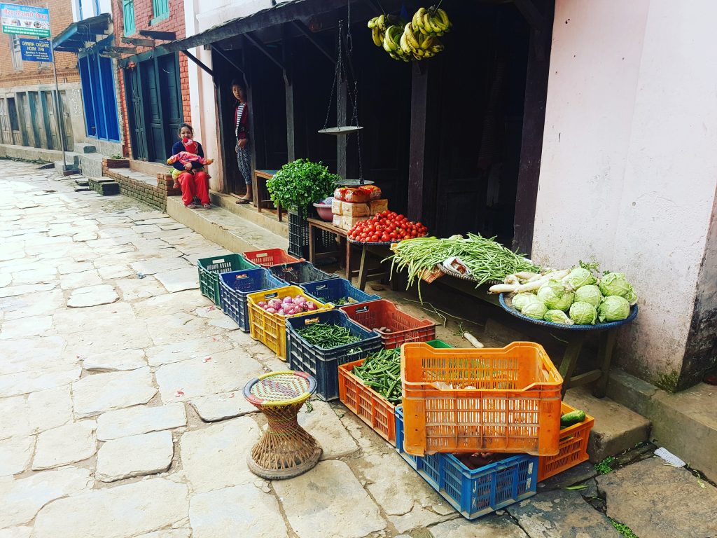 Legume crescute în Bandipur