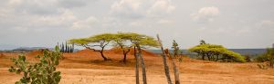 Desierto de la Tatacoa