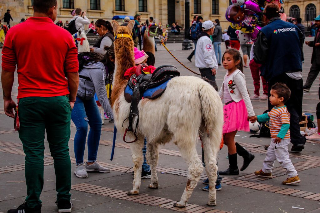 E bâlci la Bogota :)