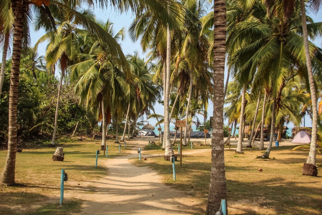 Camping la Tayrona Park