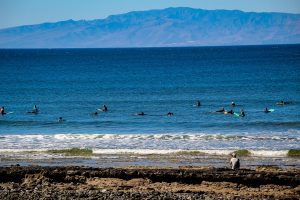 Studenții de surf în Playa de las Americas