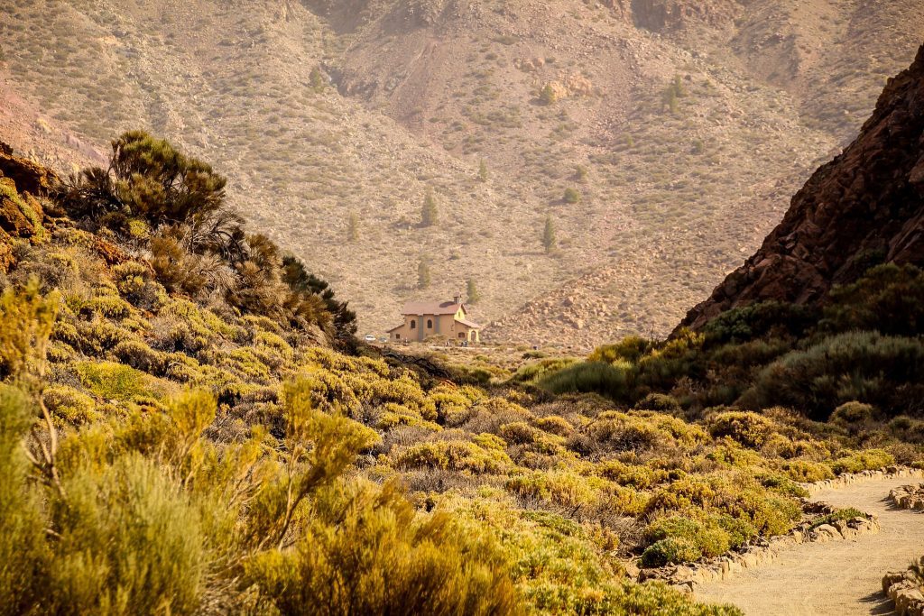 Parque National El Teide