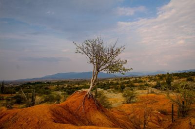 Desierto de la Tatacoa