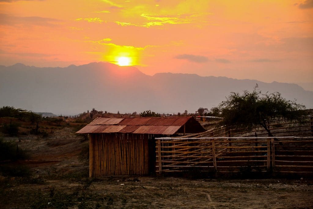 Apus în Desierto de la Tatacoa