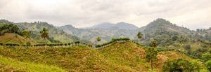 Ciudad Perdida
