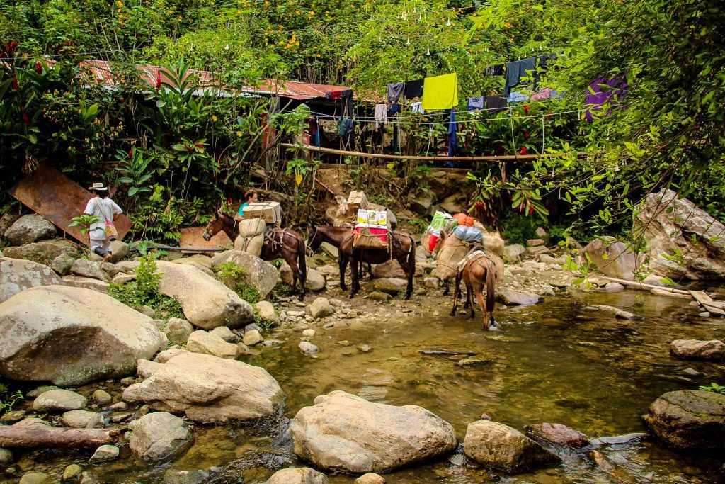 Ciudad Perdida