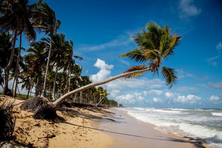 Plajele perfecte din Republica Dominicană