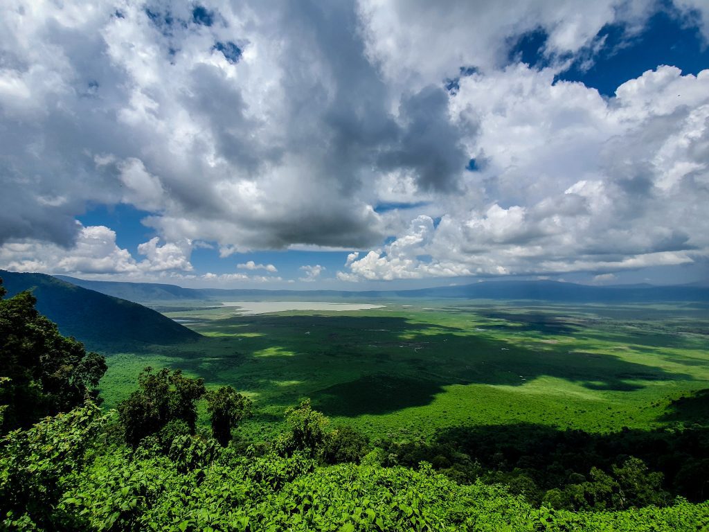 Ngorongoro