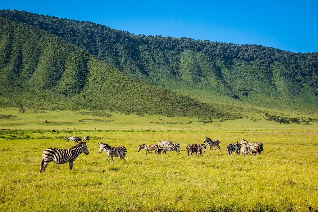 Craterul Ngorongoro