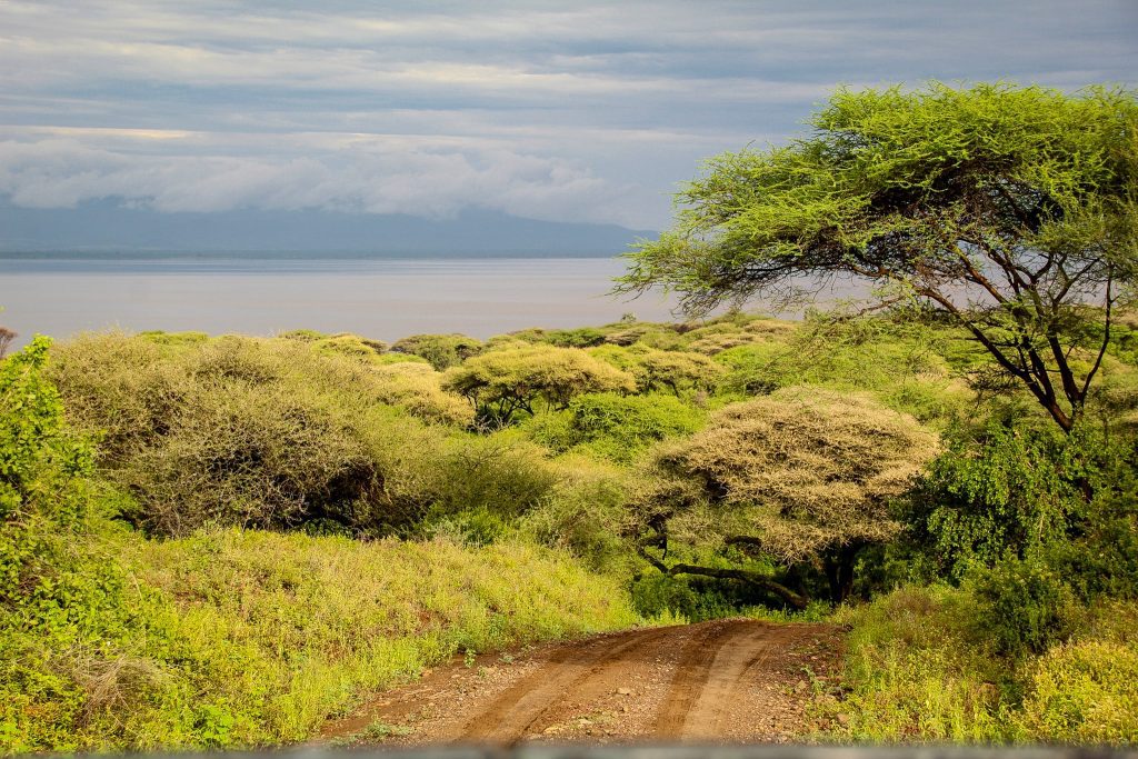 Manyara Lake