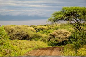Manyara Lake