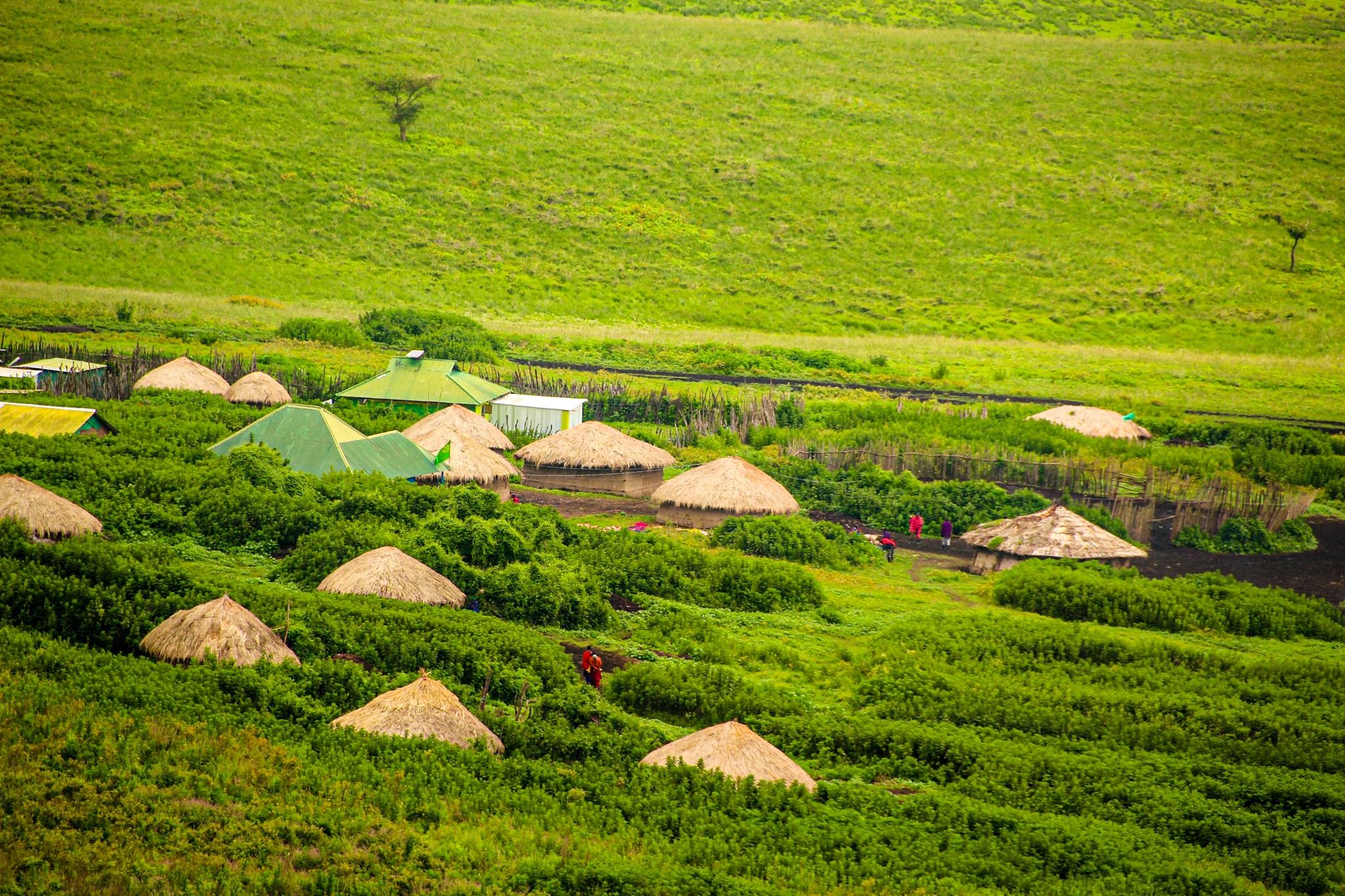 Satele de masai din Ngorngoro