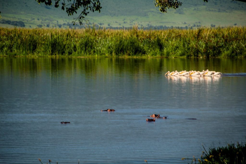 Ngorongoro Crater