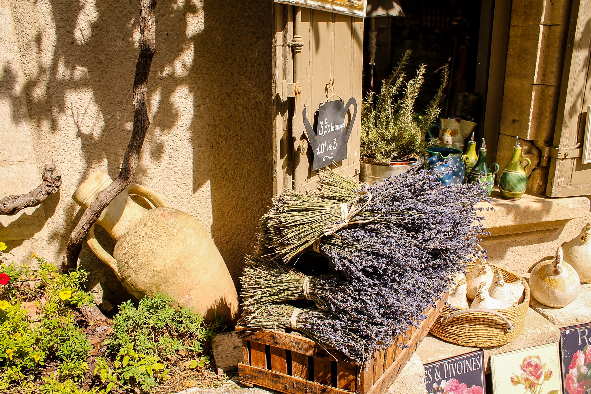 Lavanda în Provence