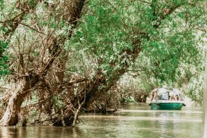 Superbele canale din Delta Dunării