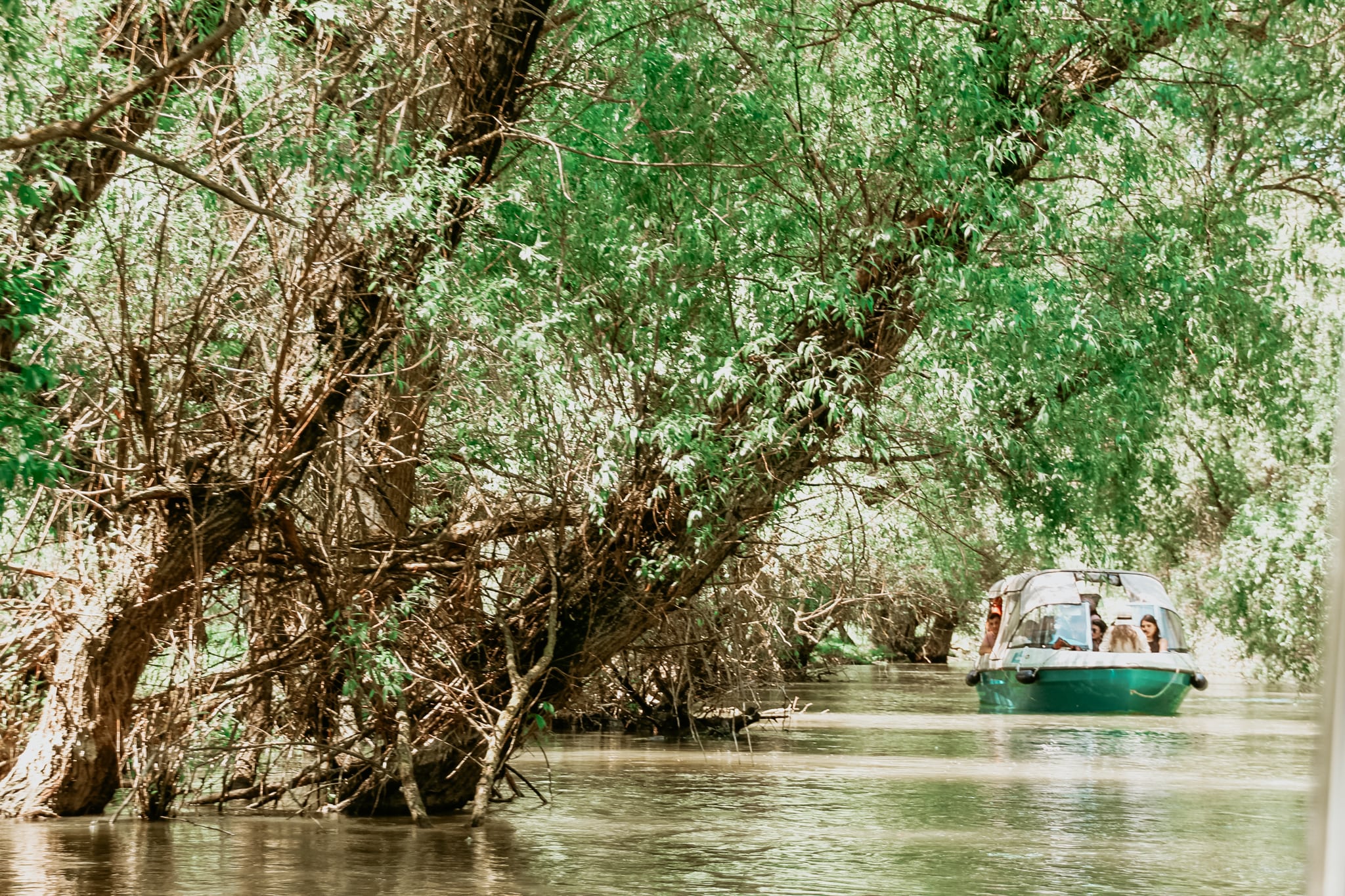 Superbele canale din Delta Dunării