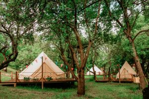 My Lake Glamping,