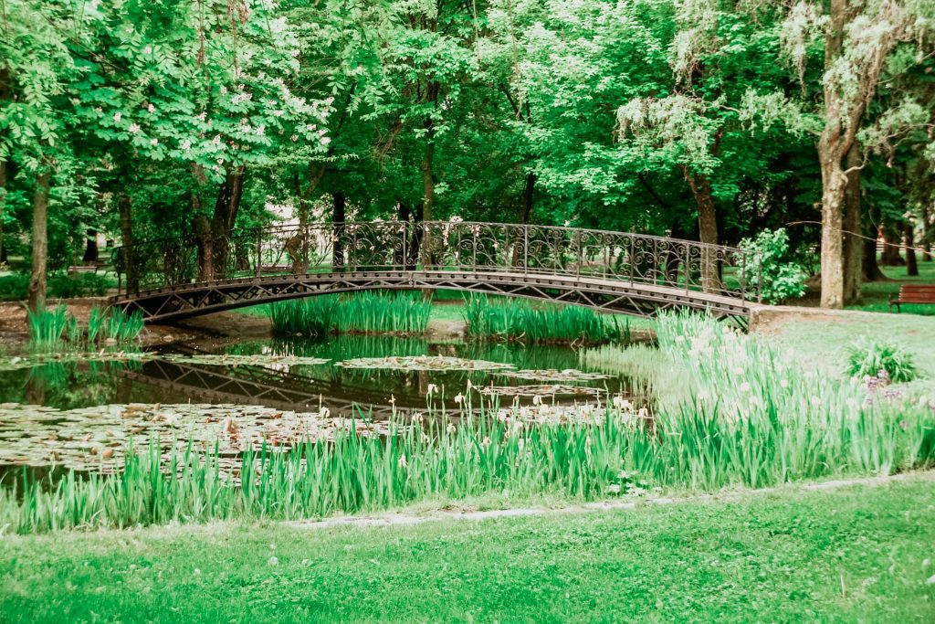 Lacul din parcul din Sfântu Gheorghe