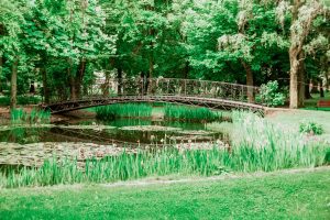 Lacul din parcul din Sfântu Gheorghe