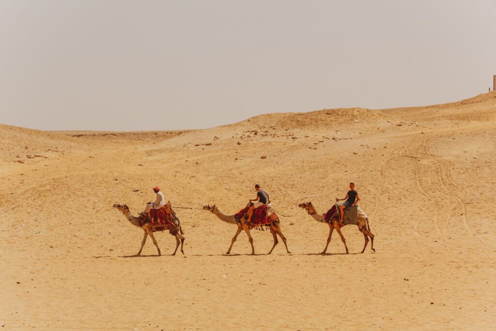 Oameni prietenoși la piramidele din Giza