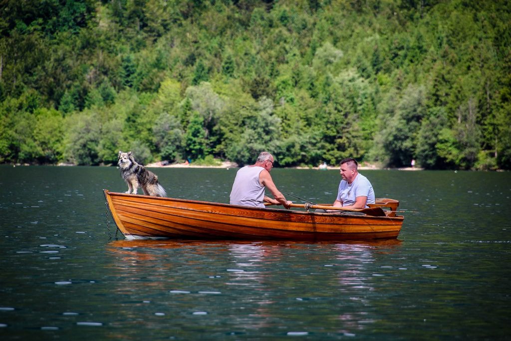 Activități de zi pe lacul Bohinj