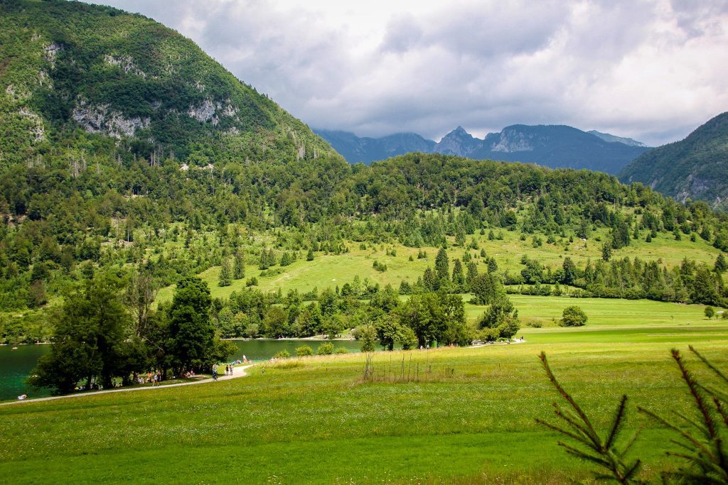 Demonstrație de verde la Lacul Bohinj