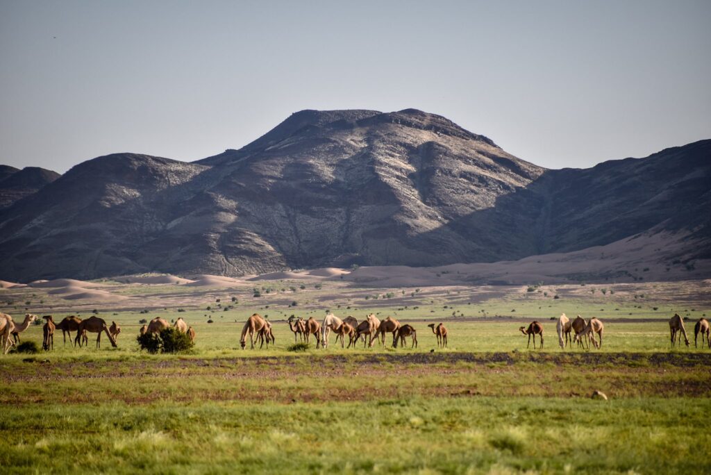 Mauritania