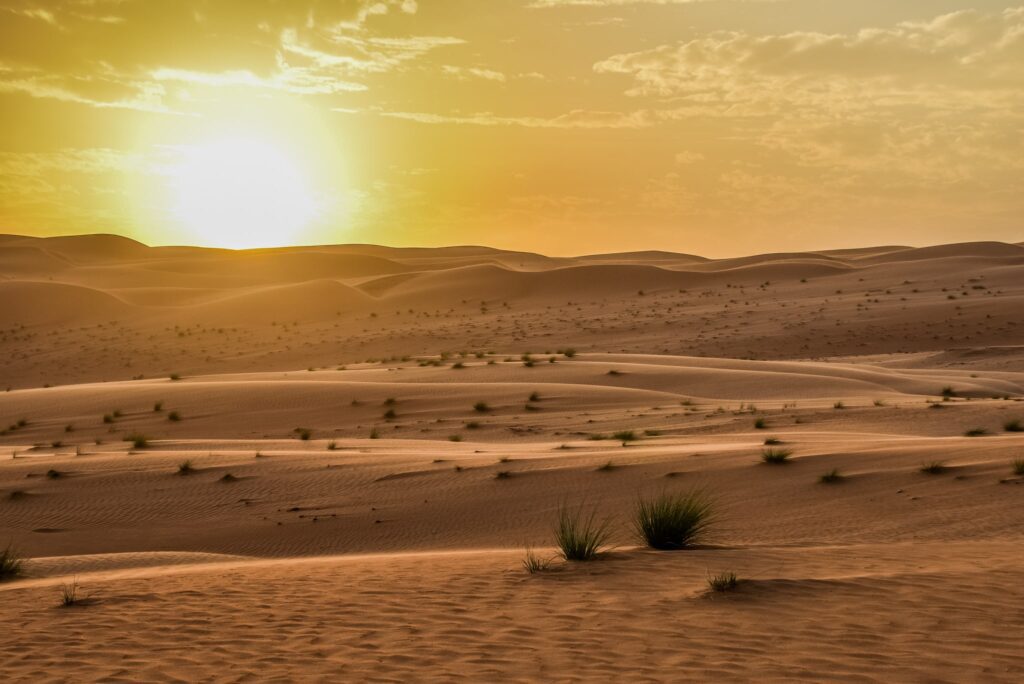 Sharqiya Sands