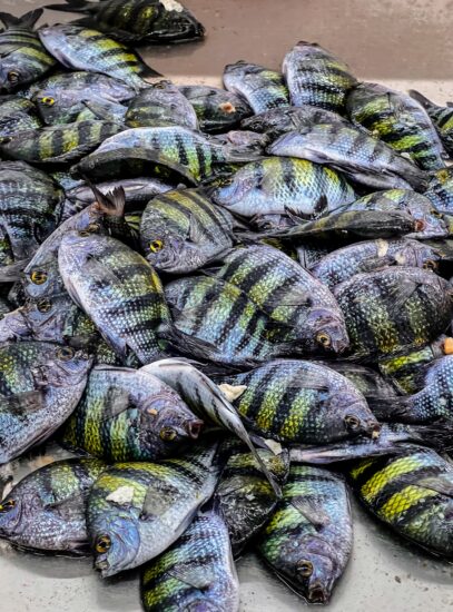Piața de pește, Muscat