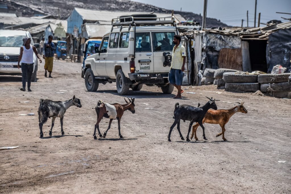 Una dintre mașinile cu care am mers prin Etiopia