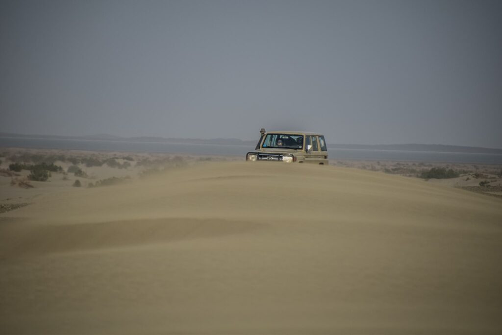 Zdravenele mașini Toyota Land Cruiser