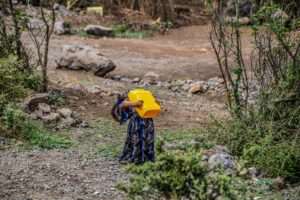 Una dintre problemele majore de mediu care afectează Etiopia este deficitul de apă