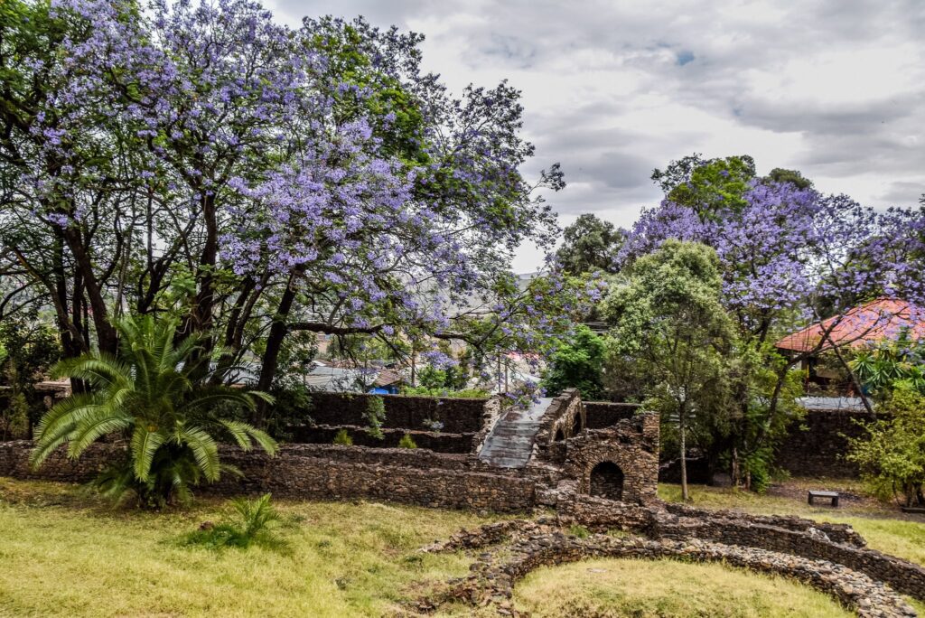 Castelul Fasilides, Gondar