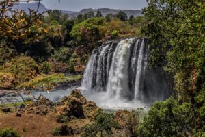 Cascada Blue Nile