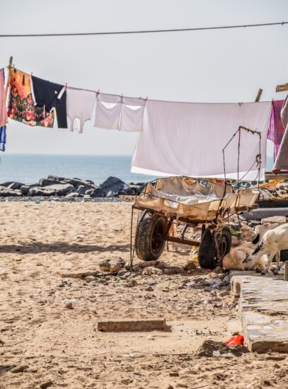 Haine la uscat, Senegal