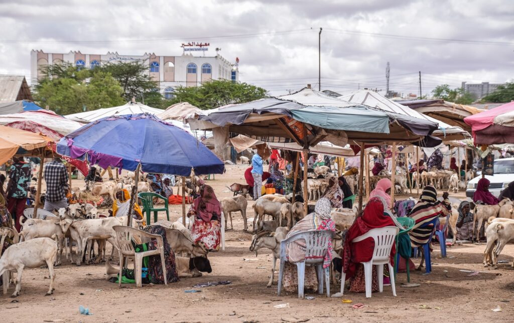 Piața de animale, Somaliland