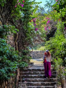 Flori și verde în Île de Gorée