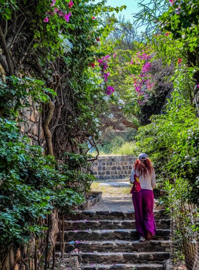 Flori și verde în Île de Gorée