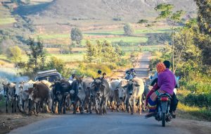 Undeva în Myanmar